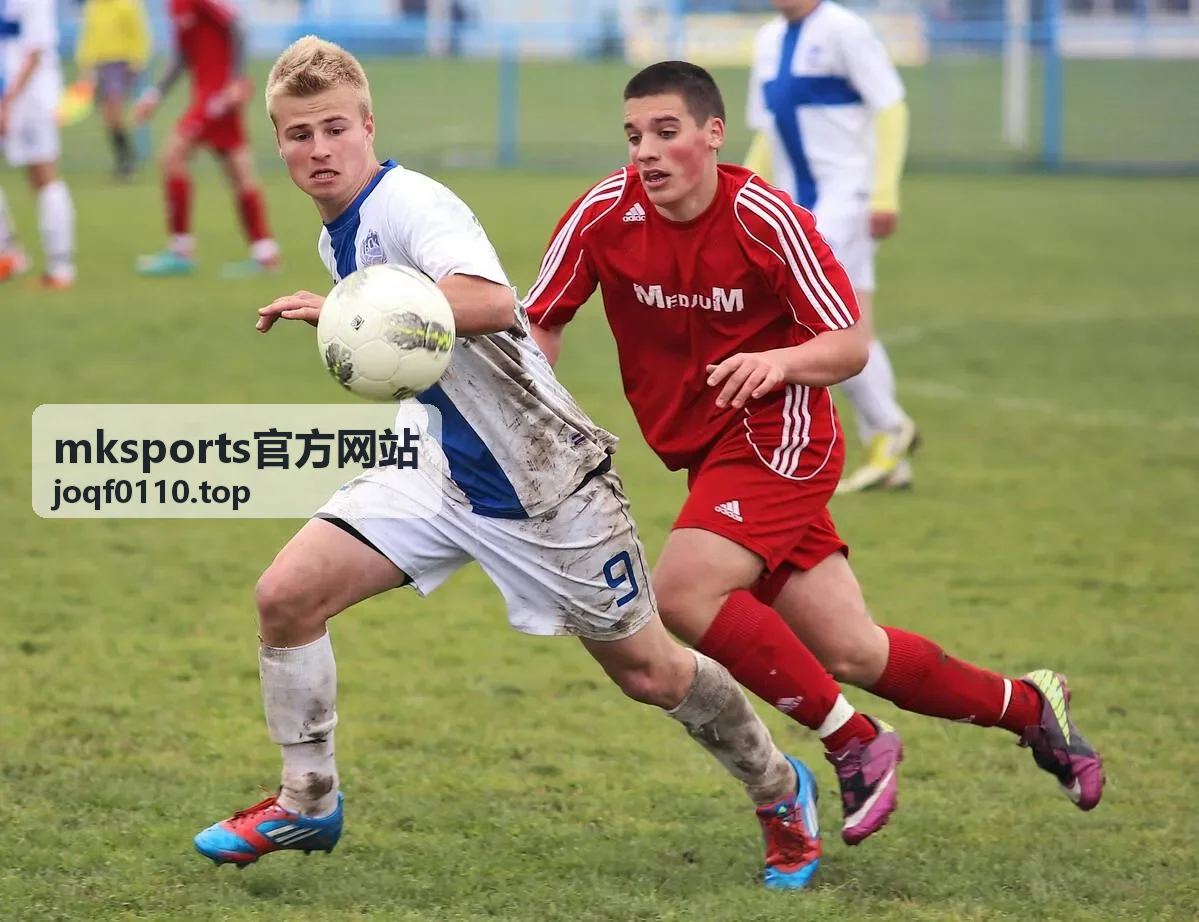 mksports官方网站运动装备对比评测图